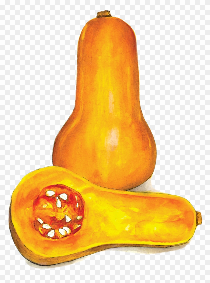 Squash Png - Gourd Clipart #2275679