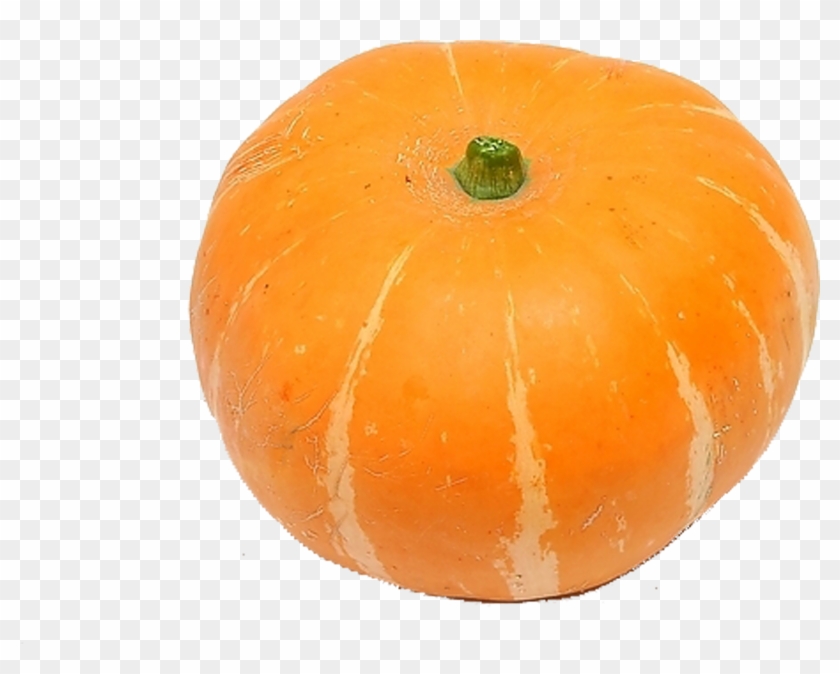 2953 X 2953 10 - Pumpkin Clipart