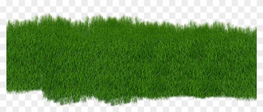 Pond Png Clipart
