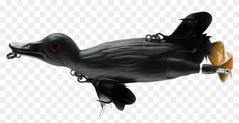 Savage Gear 3d Topwater Suicide Duck Small Animal Wakebait - Murray Cod Surface Lures Clipart