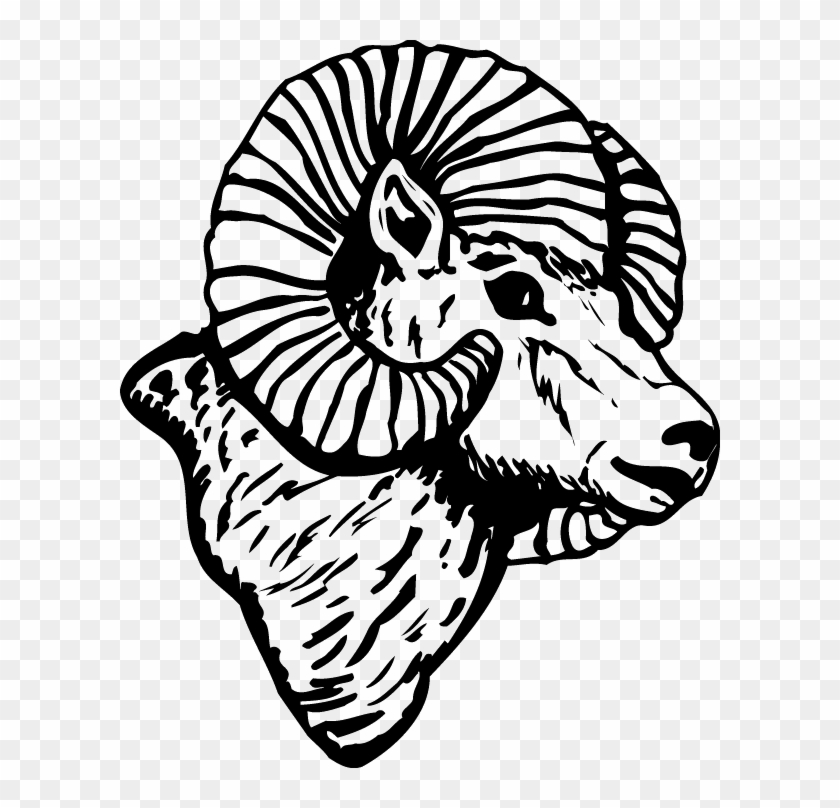 Collection Of Free Ram Drawing Download On - Ram Head Side Drawing Clipart #2278056