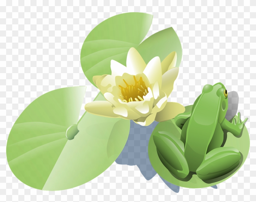 Lily Pad Clip Art - Png Download #2279059