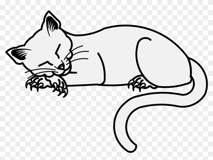 Details, Png - Kitten Clipart #2279101