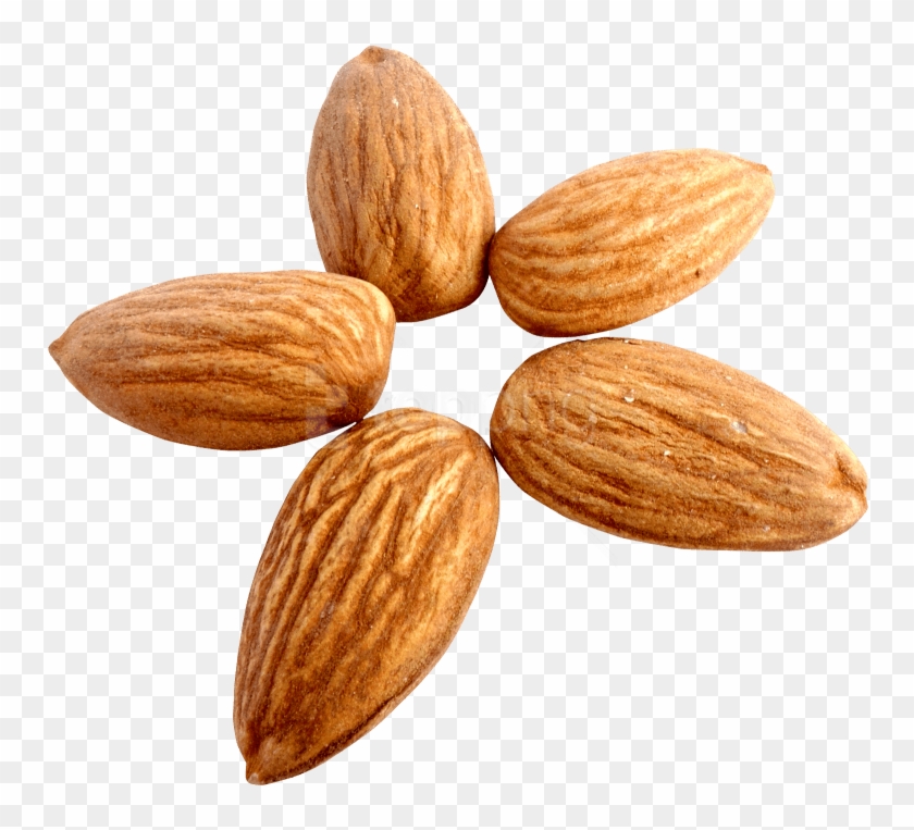 Free Png Download Almond Png Images Background Png - Almond Transparent Background Clipart #2279675