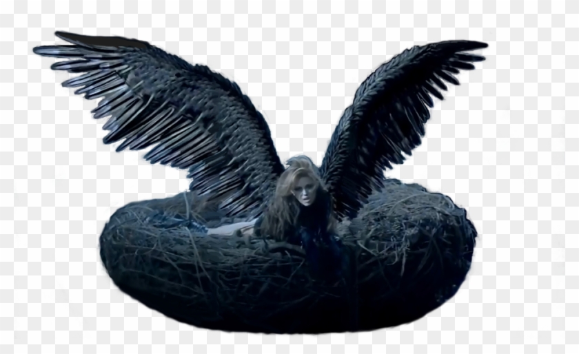 Miley Cyrus Can T Be Tamed Png Clipart