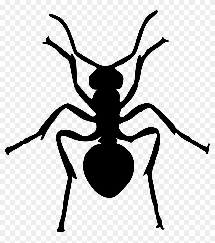 Clipart - Png Download #2281370