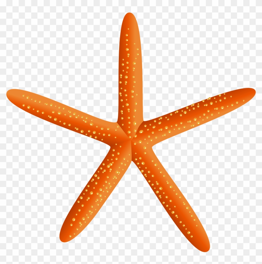 Png Clip Art Transparent Png #2281814