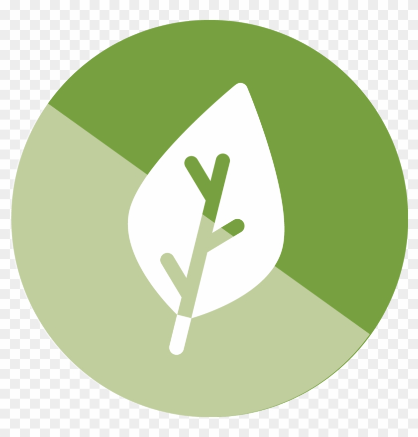 Icono-medio Ambiente - Ambiente Icono Png Clipart