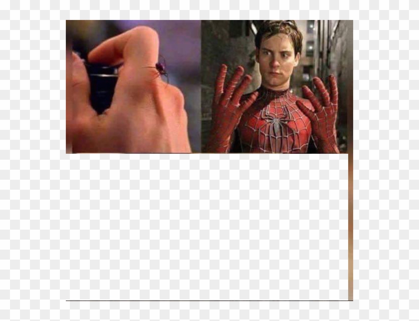 High Quality Spider Bite Blank Meme Template - Spiderman 4 Clipart