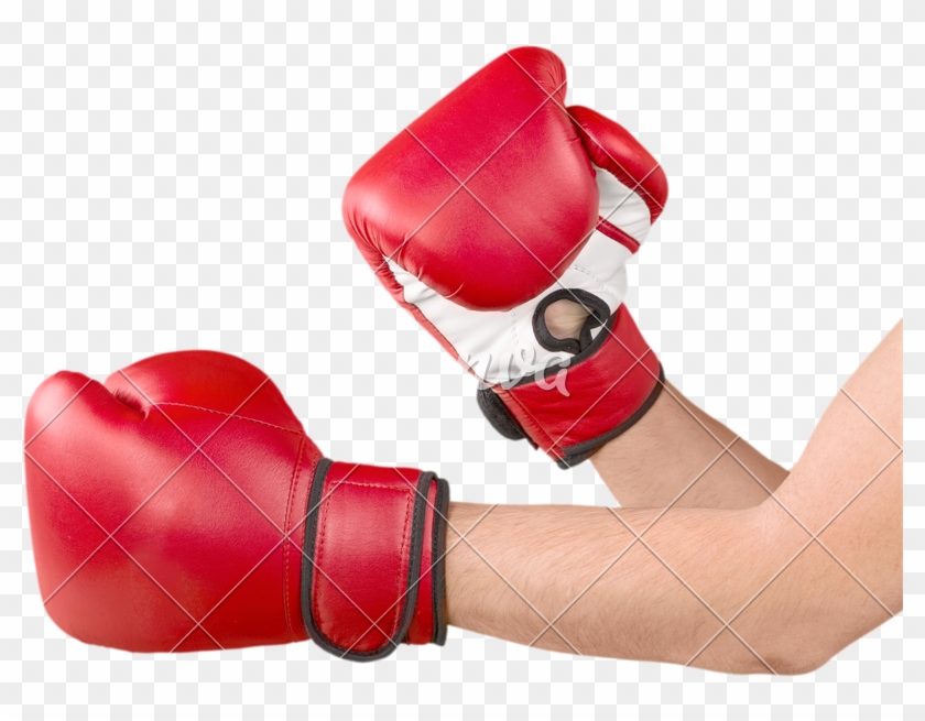 Boxing Gloves Transparent Transparent Background - Boxing Gloves Transparent Background Clipart