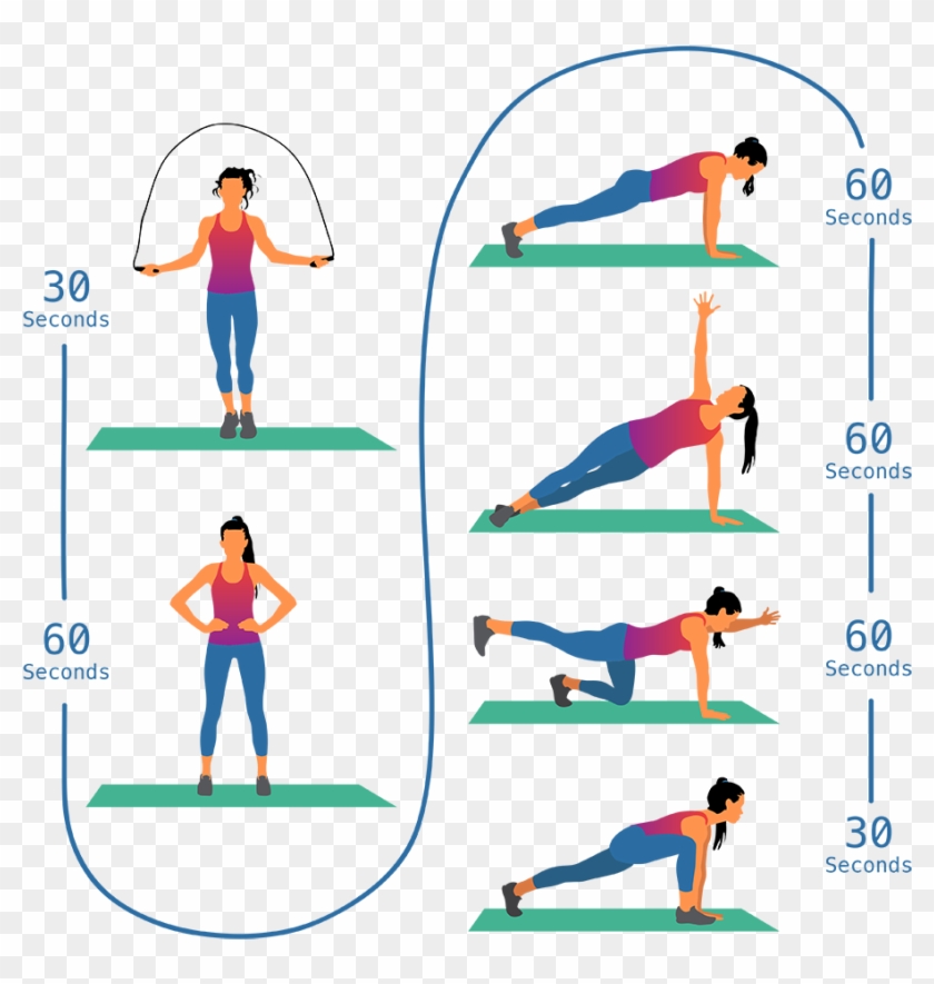 It Needs To Be Strong To Stabilize The Spine And Pelvis, - Exercises For Back Strength Clipart #2284634