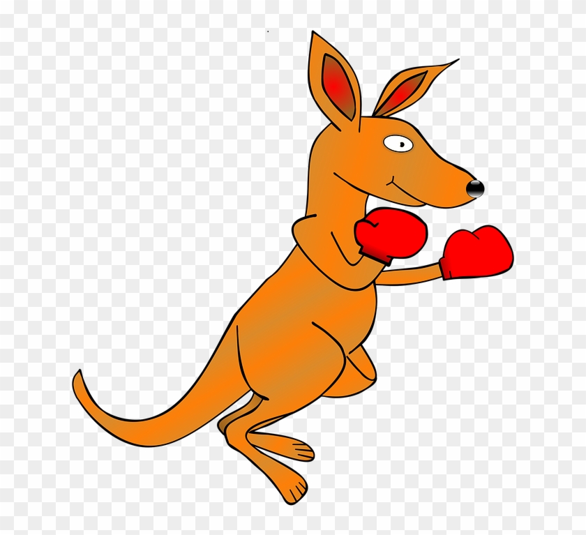 Kangaroo Boxing Png - Boxing Kangaroo Clipart Transparent Png #2284670