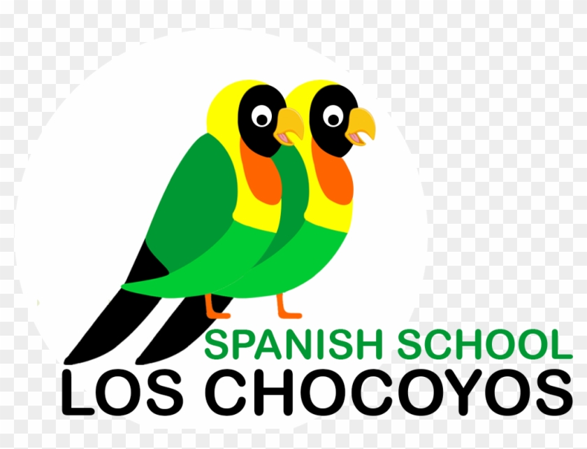 Learn Guatemala School Quetzaltenango Studying At - Spanish Clipart #2285644