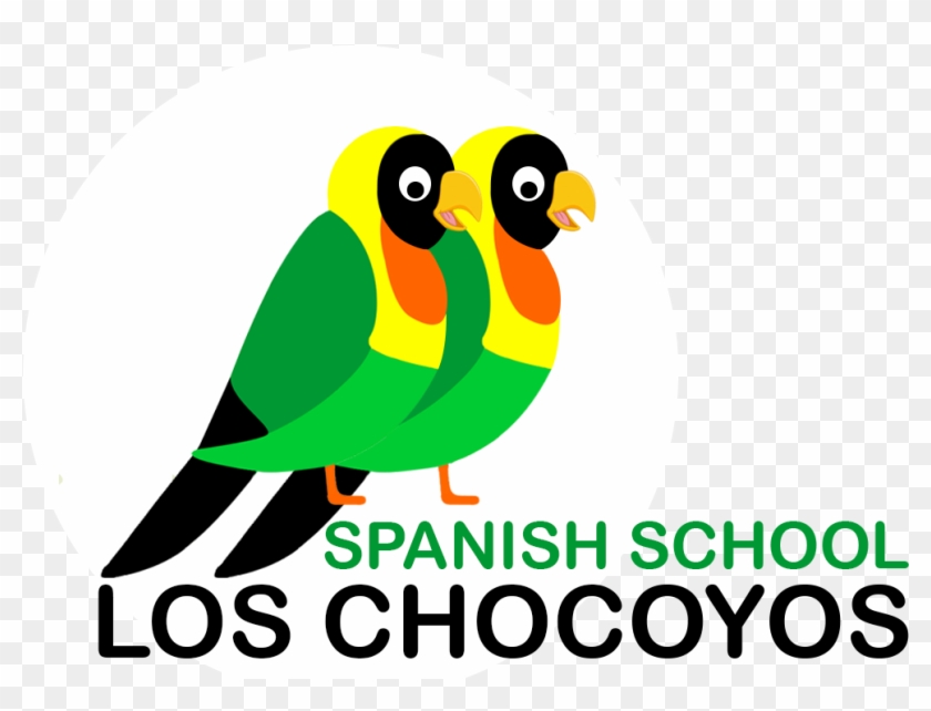 Learn Guatemala School Quetzaltenango Studying At - Spanish Clipart