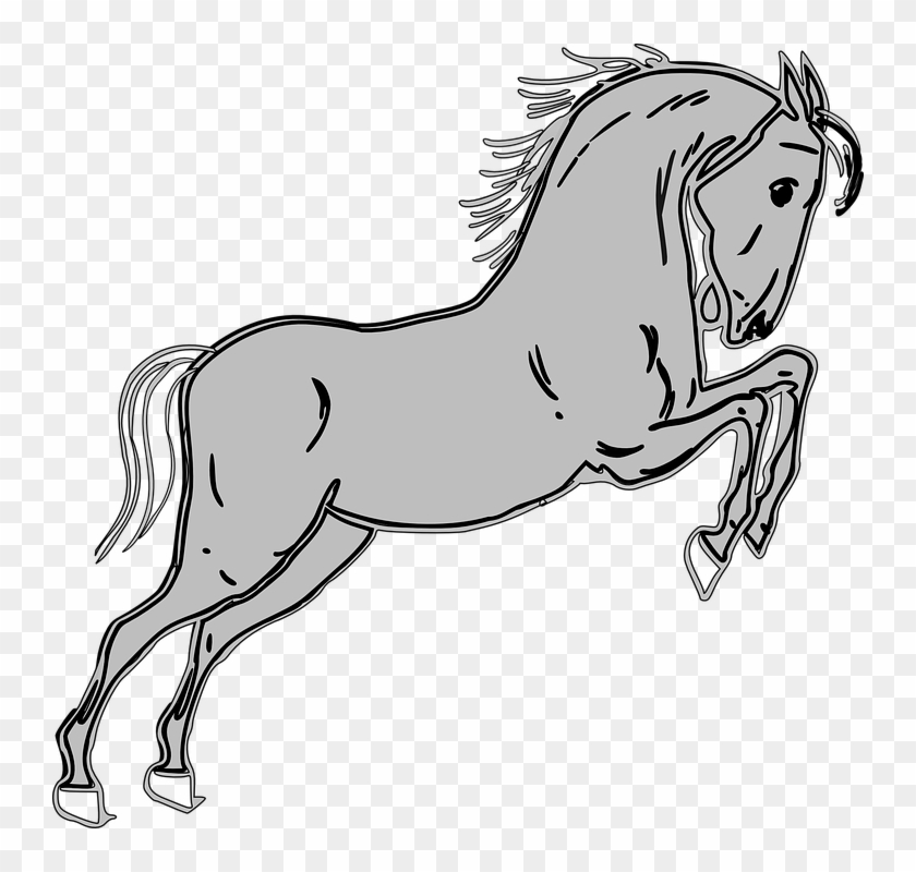 Pony Clipart Grey Horse - Horse Clip Art - Png Download
