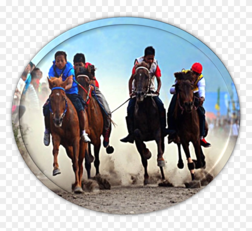 Lomba Merupakan Lokasi Yang Sering Digunakan Untuk - Stallion Clipart #2286982