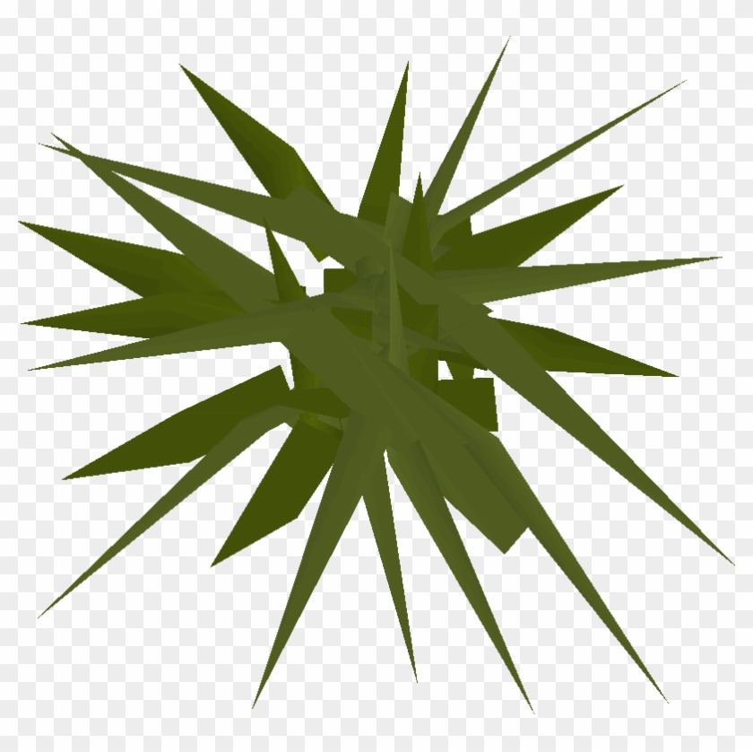 Runescape Weeds Clipart #2287044