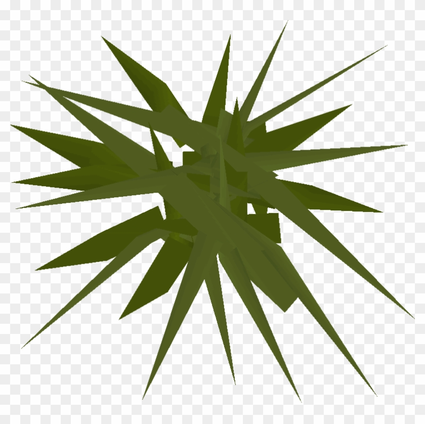 Runescape Weeds Clipart
