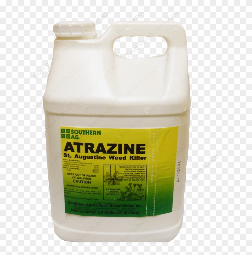 Weeds Png Clipart #2287501