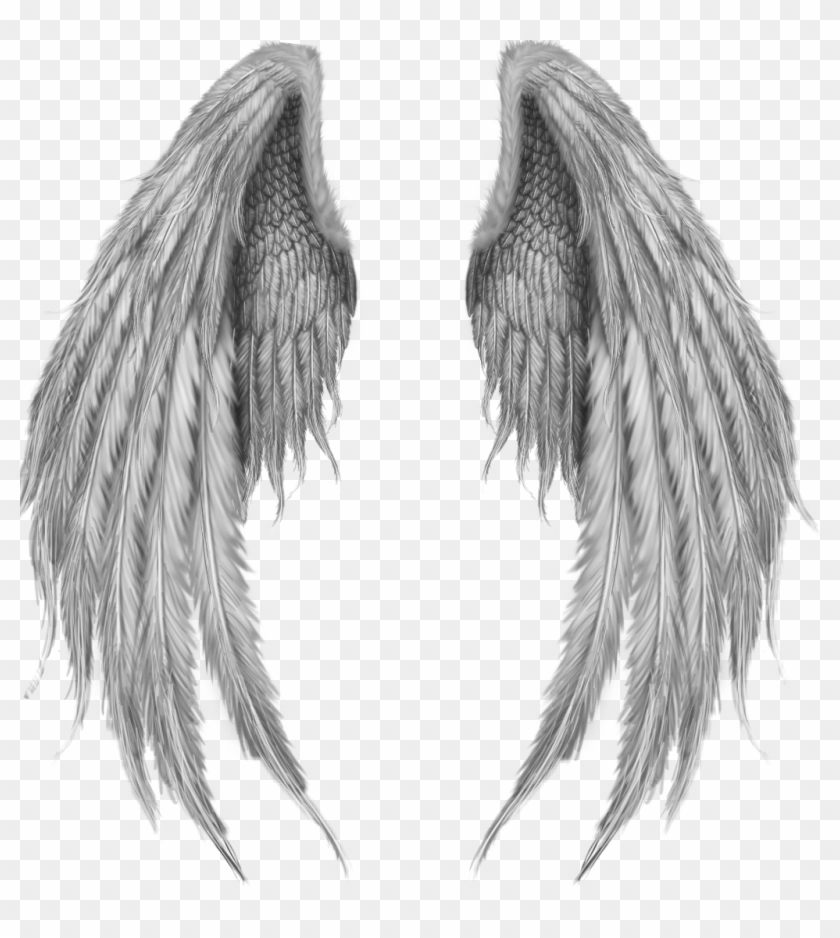 #alas #angel #angels #alasdeangel - Fantasy Wings Clipart #2287660