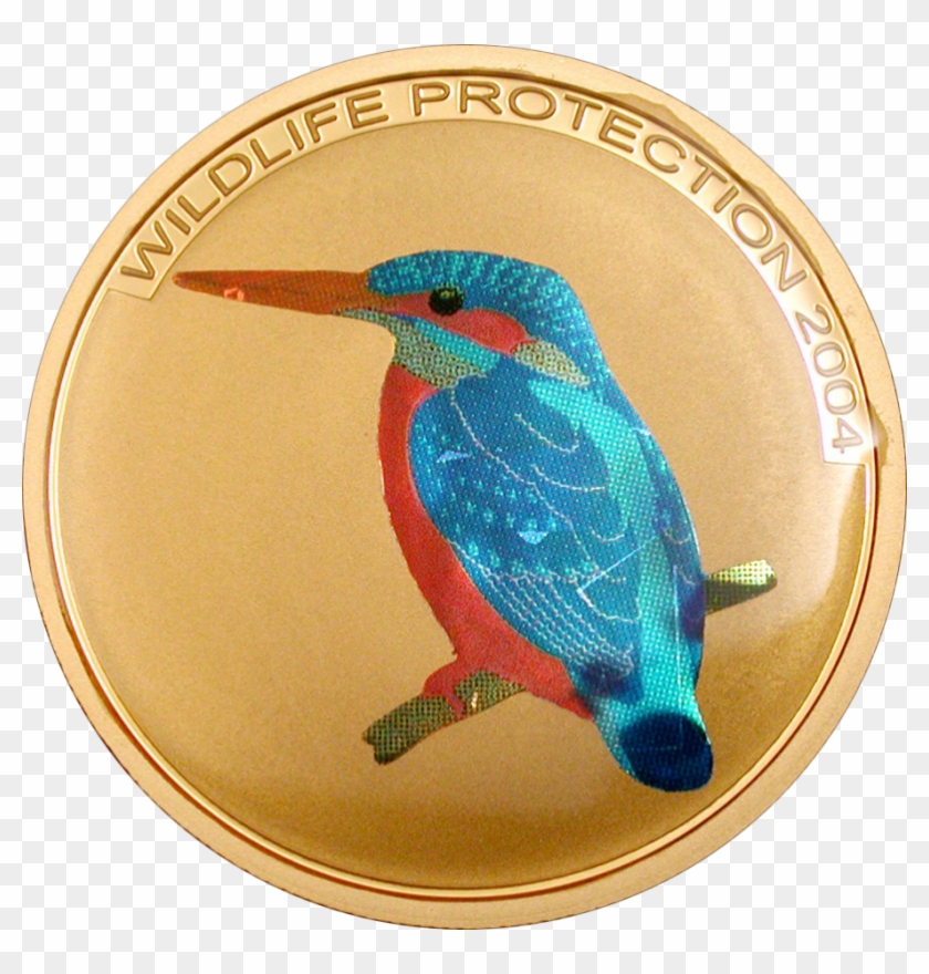 Kingfisher - Ruby-throated Hummingbird Clipart