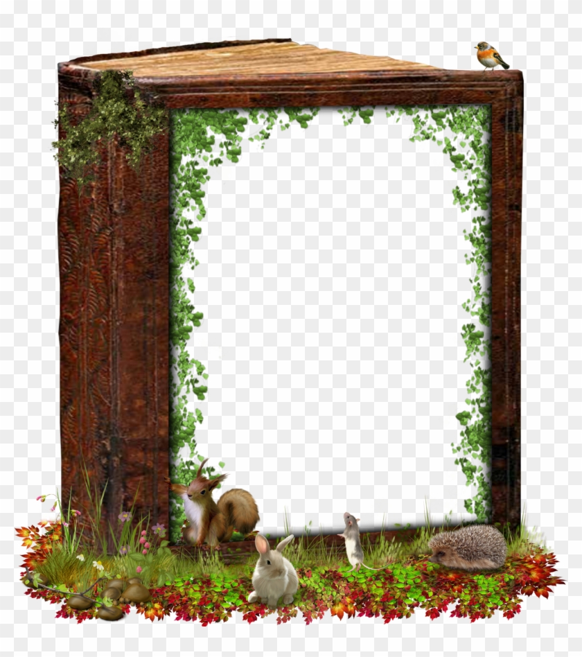 Clip Art Images - Cadre Nature - Png Download #2290100