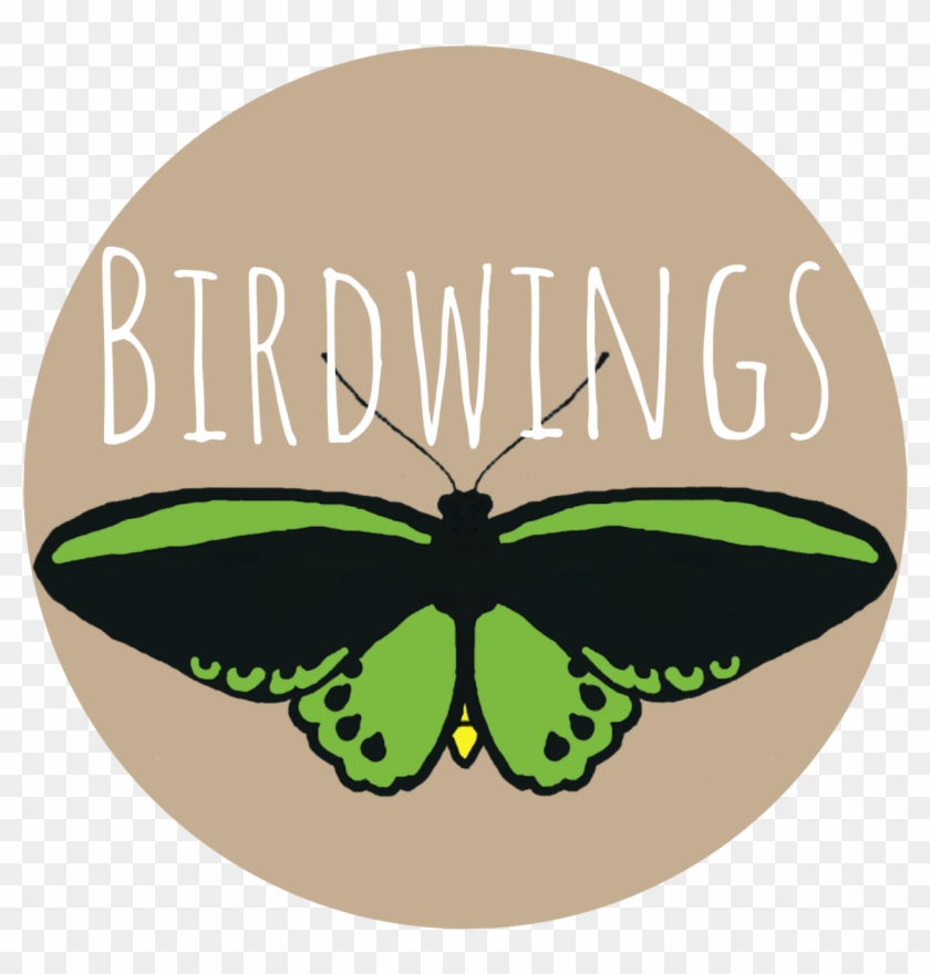Birdwings Offers A Variety Of Mobile Nature Immersion - Lycaenid Clipart #2290146