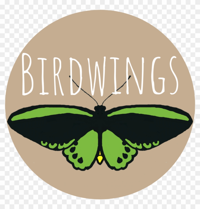 Birdwings Offers A Variety Of Mobile Nature Immersion - Lycaenid Clipart