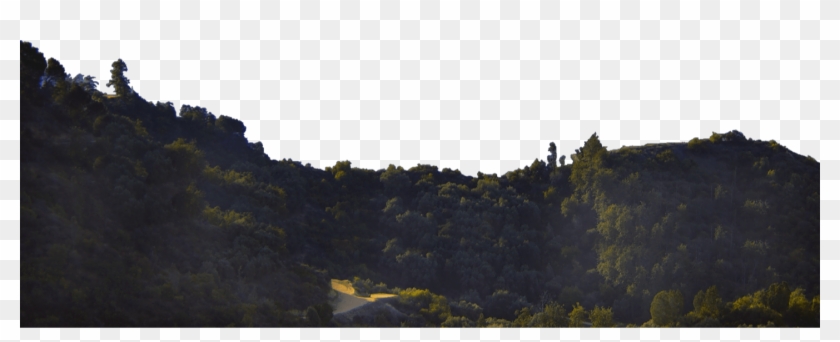 Homehero-foreground - Foreground Png Clipart #2290223