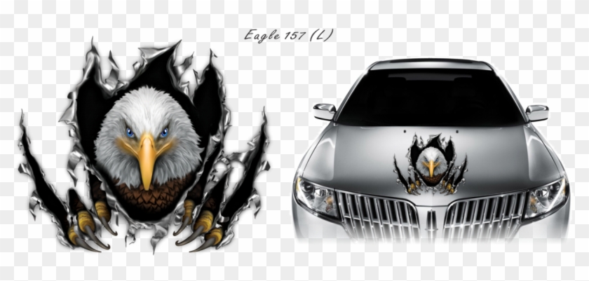 Eagle 157 - Lincoln Mkz 2010 Clipart