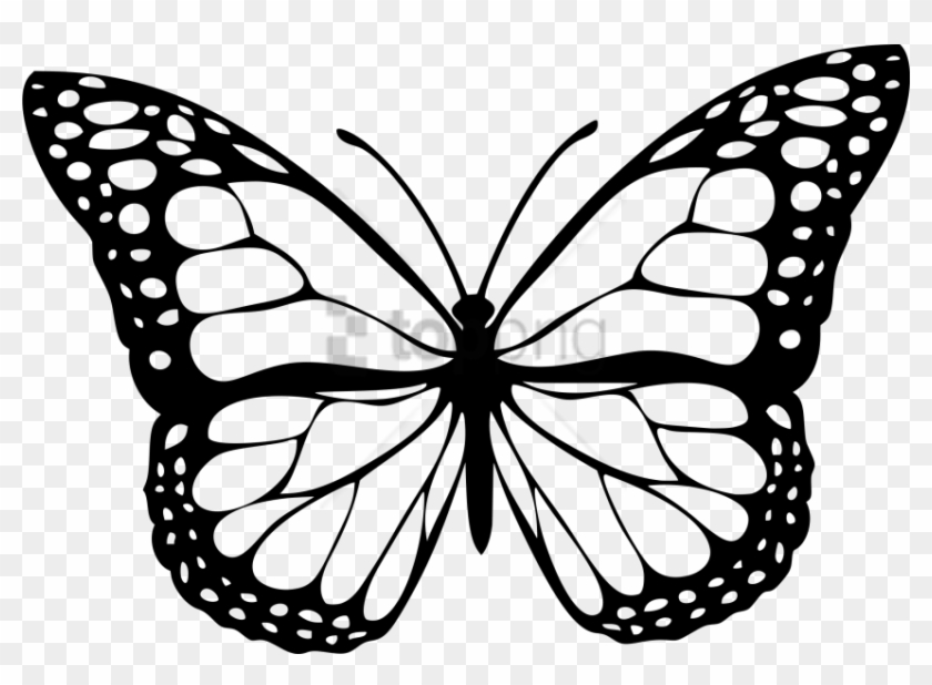 Free Png Download Butterfly White Png Images Background - Butterfly Clipart Black And White Transparent Png #2291281