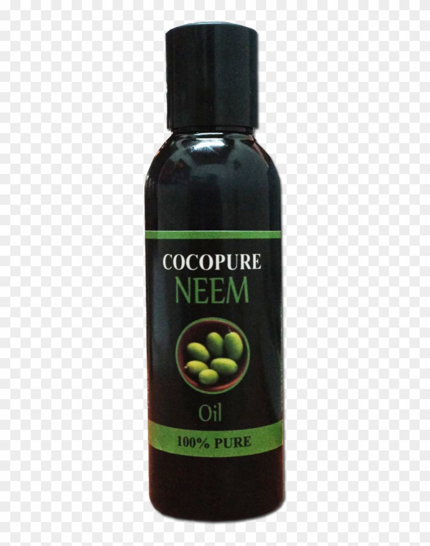 Olive Clipart #2292186