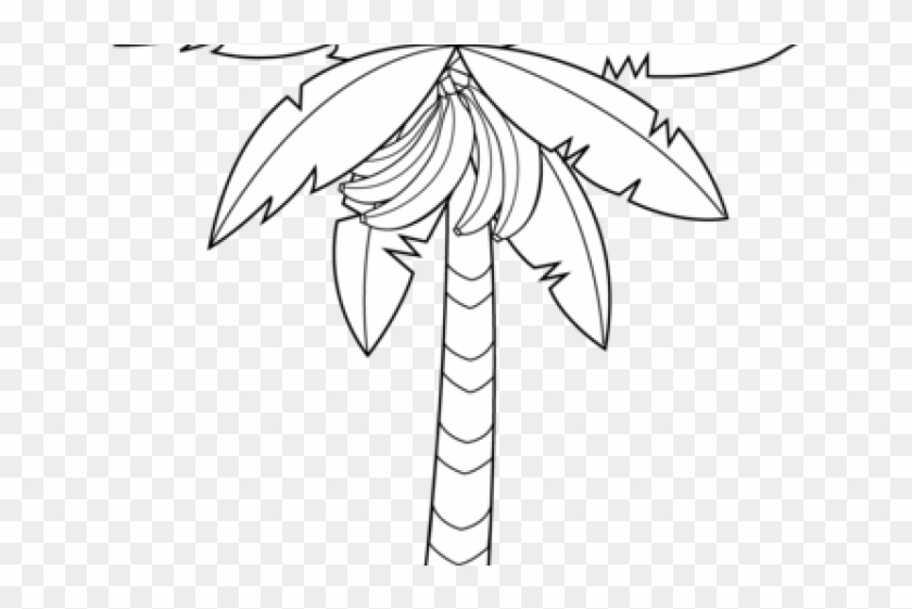 Banana Clipart Banana Tree - Drawing - Png Download #2292747