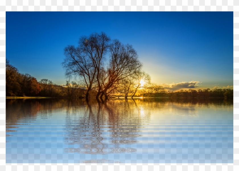 Score 50% - Lac Png Clipart #2293214