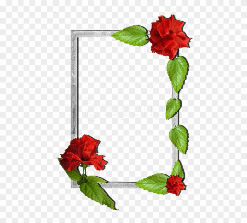Free Png Flowers Frame Background Best Stock Photos - Flower Frames Clipart