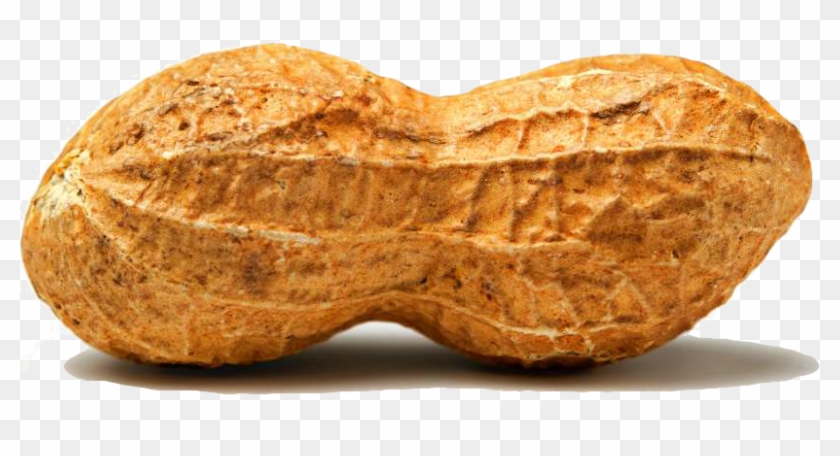 Peanut Png Images Free Download Ⓒ - People With Peanut Heads Clipart