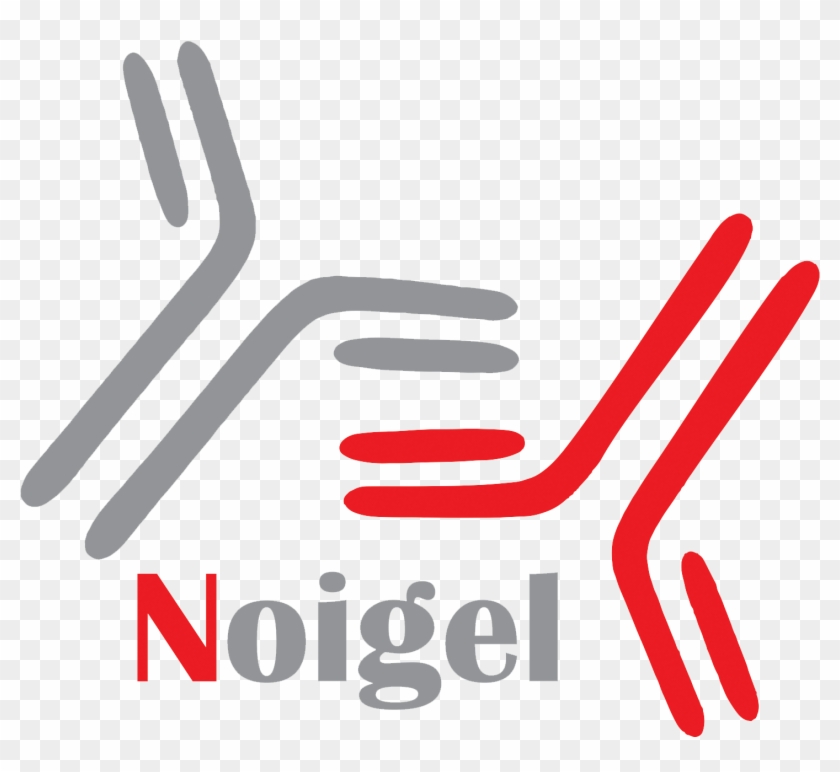 Noigel Logo Noigel Logo Noigel Logo Noigel Logo - Graphic Design Clipart