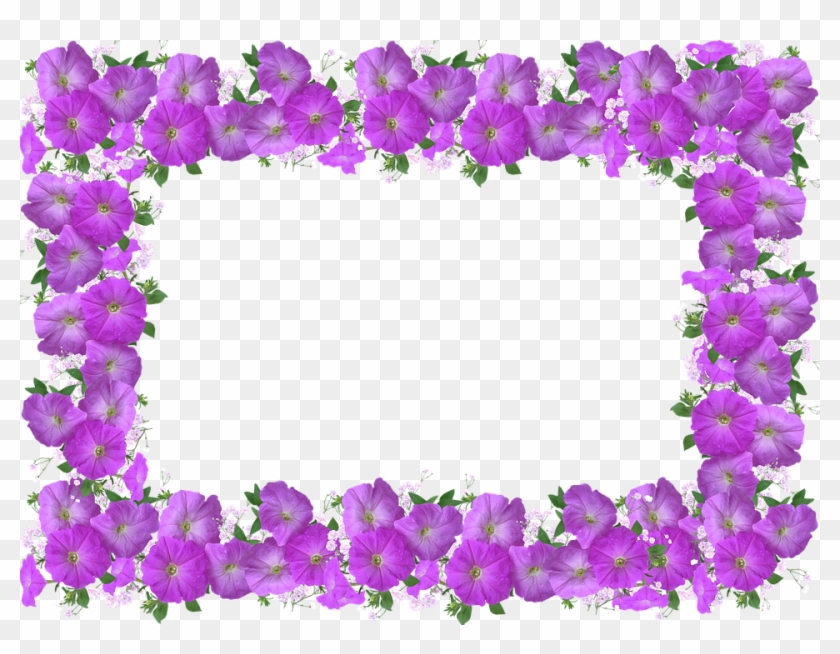 Frame, Border, Petunia, Floral Decoration - True Colors Immagini Di Buon Giorno Clipart