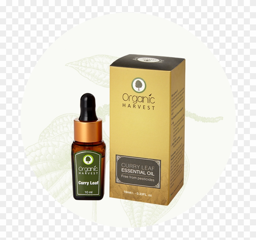 Curry Leaf Essential Oil - Cosmetics Clipart