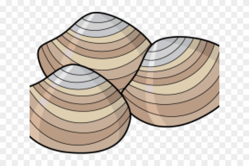Clams Clipart Bivalve - Shellfish Clipart - Png Download