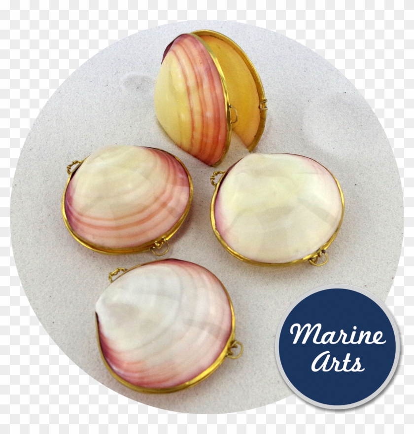 Polished - De Marchi Clipart #2295054