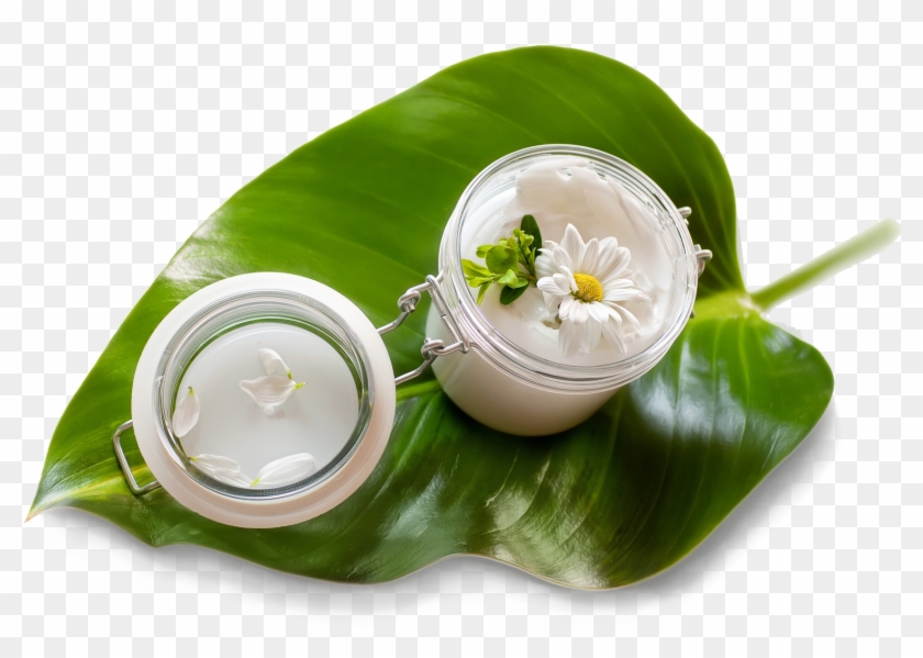 The Line Is Fully Compatible With Any Age And Brings - Natural And Organic Beauty Clipart #2295511