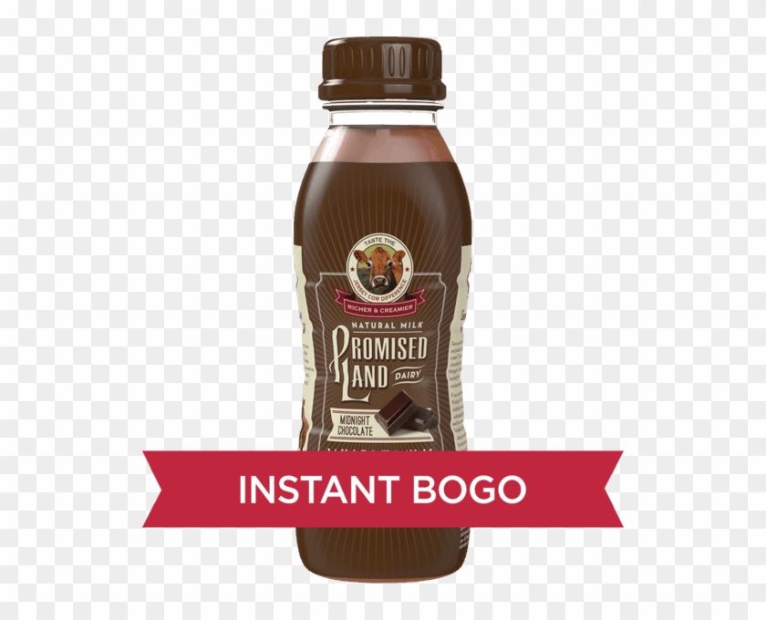 Promised Land® Dairy Milk Offer Clipart