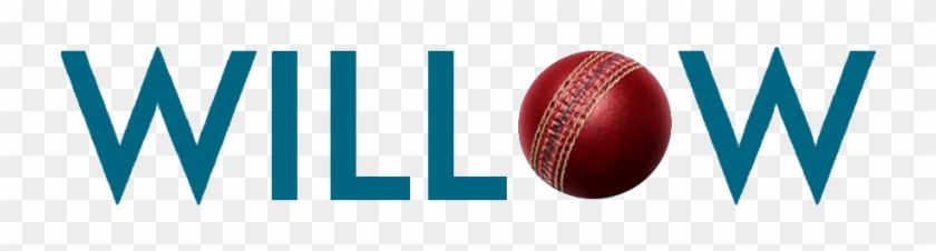 Kings Xi Punjab Vs Delhi Daredevils - Willow Tv Logo Png Clipart