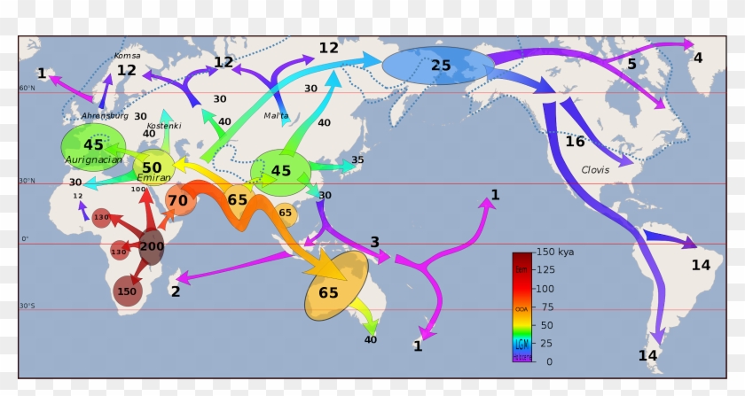 Map Showing The Movement Of Early Humans Clipart