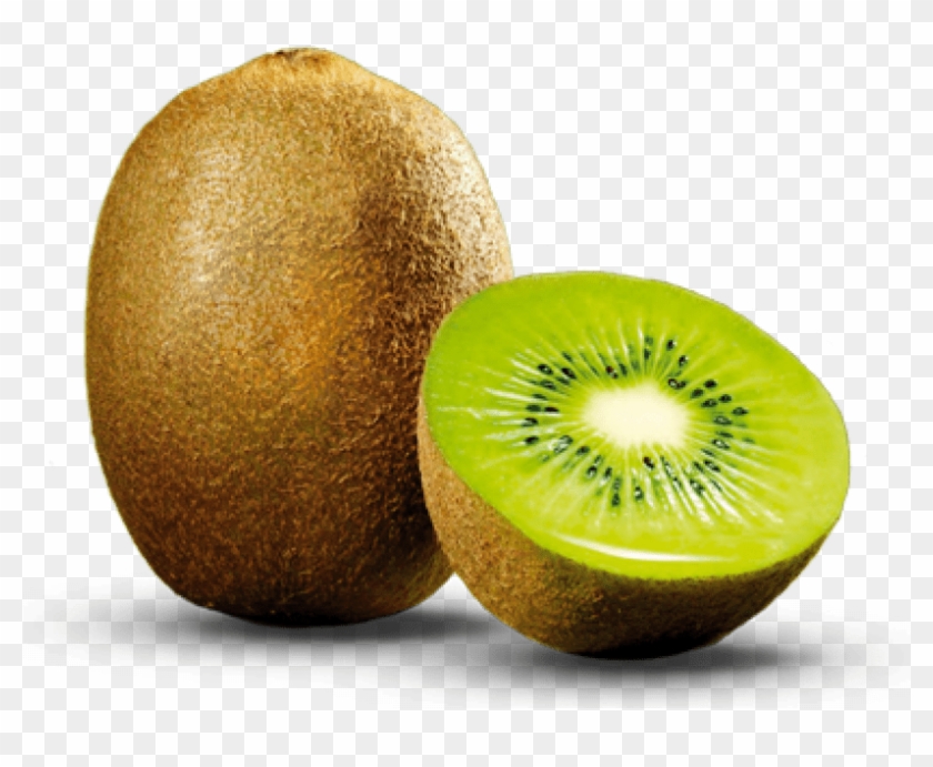 Free Png Kiwi Fruit Png Png - Kiwi Png Clipart