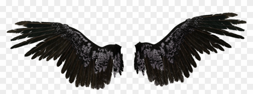 Black Angel Wings Transparent Clipart