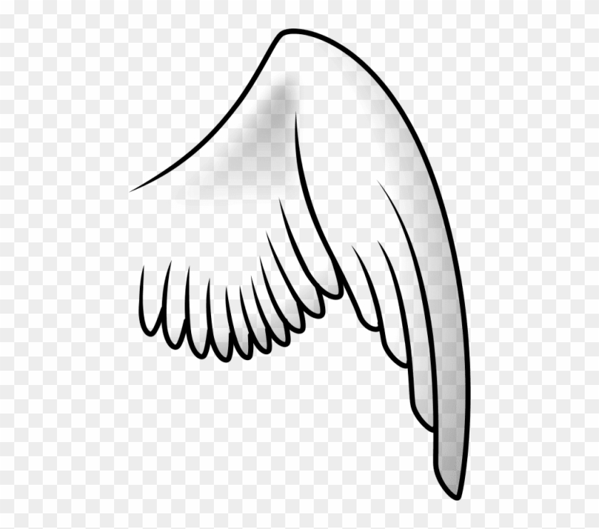 Free Png Download Bird Wing Png Images Background Png - Bird Wing Clipart Black And White Transparent Png