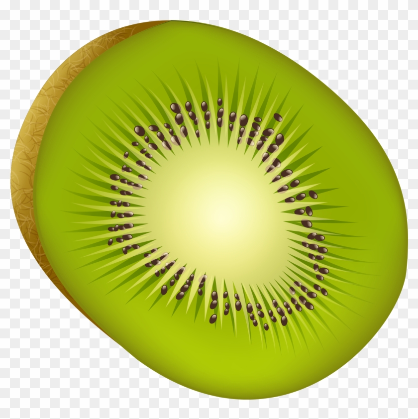 Download - Kiwifruit Clipart