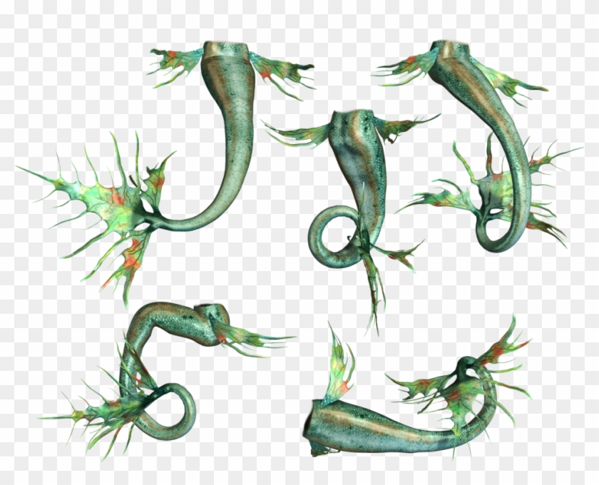 Mermaid Fin, Mermaid Tails, Scrap, Image, Gift Cards, Clipart #230867